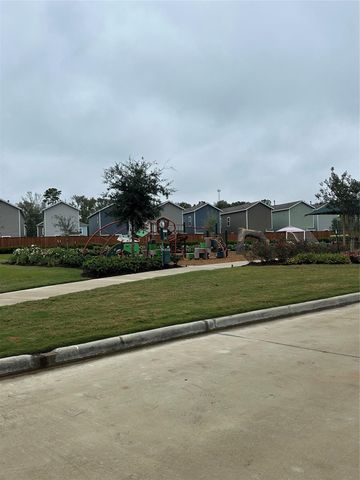 18695 San Salvo Drive, New Caney, TX 77357