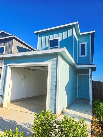 18695 San Salvo Drive, New Caney, TX 77357