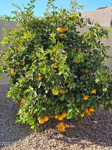 18114 W Desert Sage Drive, Goodyear, AZ 85338