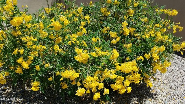 18114 W Desert Sage Drive, Goodyear, AZ 85338