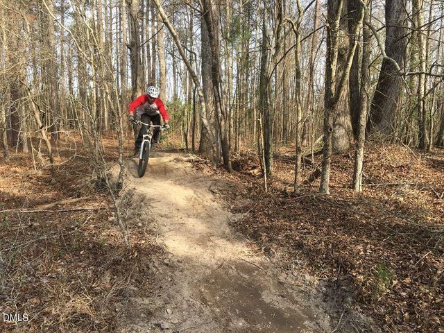 2112 Big Falls Drive, Wendell, NC 27591