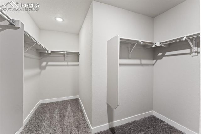 13559 Woods Grove Drive, Peyton, CO 80831