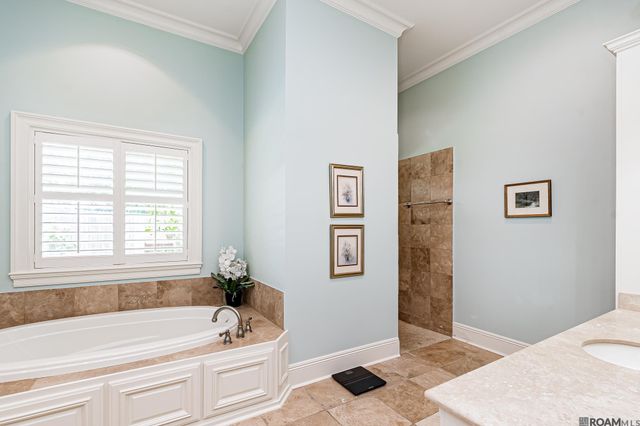 17744 Pecan Shadows Dr, Saint George, LA 70810