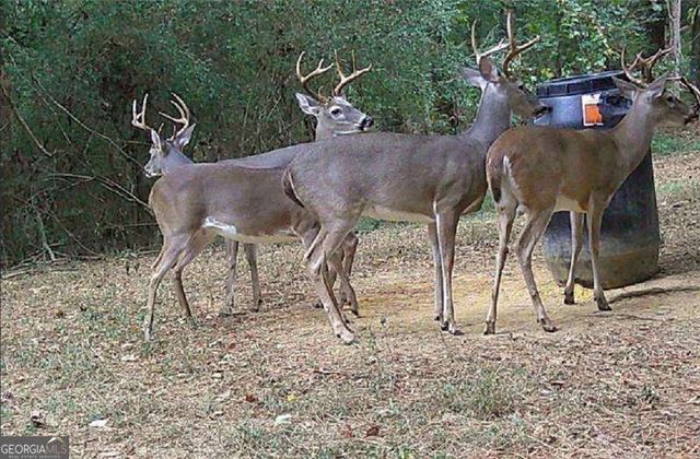 267 Hammond Road SE, Calhoun, GA 30701