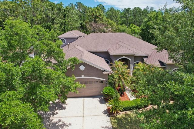 20639 LONGLEAF PINE AVENUE, Tampa, FL 33647