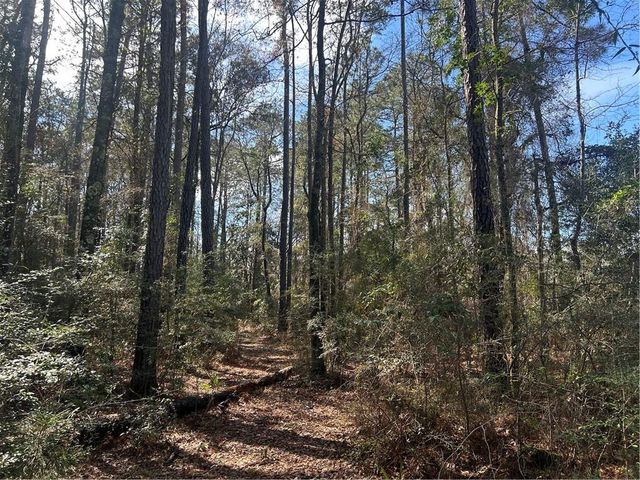 0 Baldwin Road, Satsuma, AL 36572