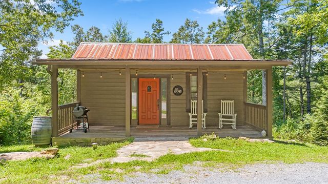 120 Community Hill Drive, Blue Ridge, GA 30513