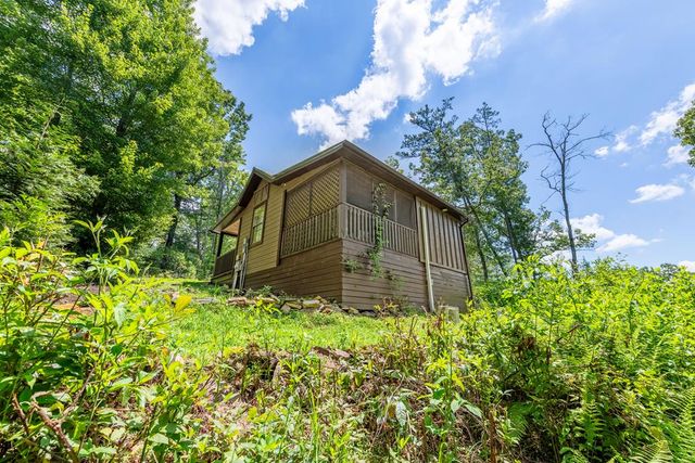 120 Community Hill Drive, Blue Ridge, GA 30513