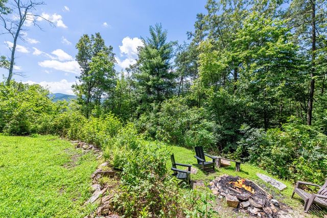 120 Community Hill Drive, Blue Ridge, GA 30513