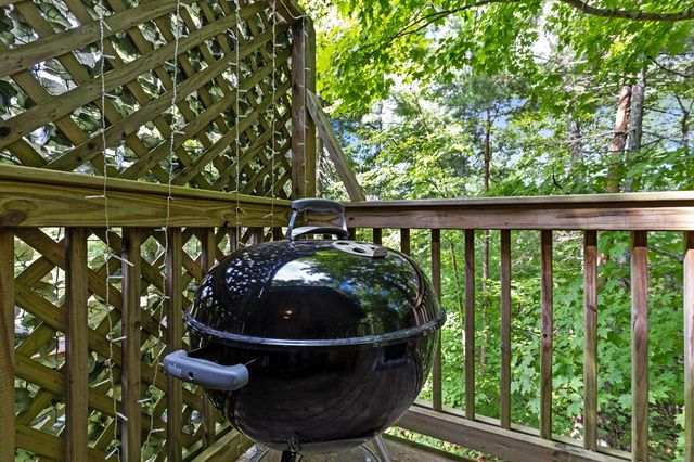 120 Community Hill Drive, Blue Ridge, GA 30513