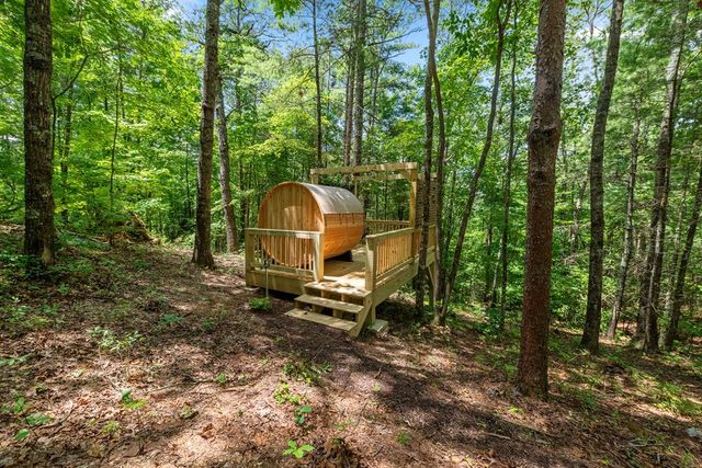 120 Community Hill Drive, Blue Ridge, GA 30513