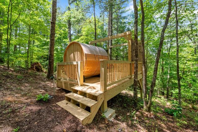 120 Community Hill Drive, Blue Ridge, GA 30513