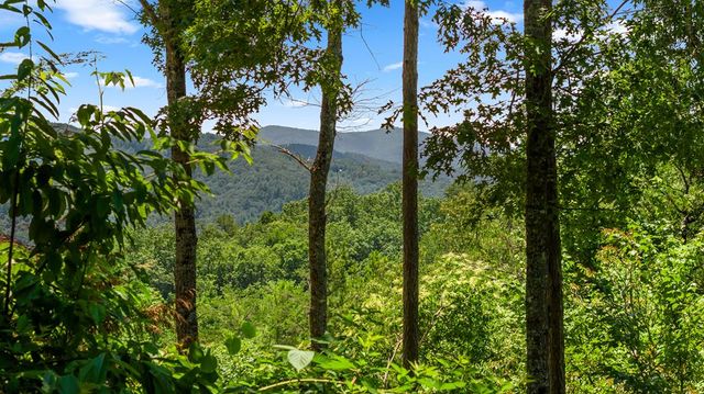 120 Community Hill Drive, Blue Ridge, GA 30513