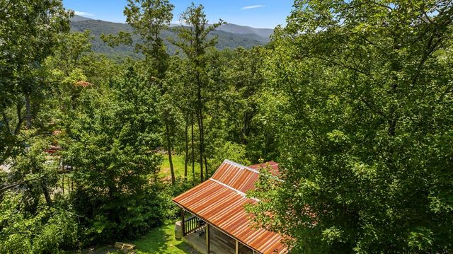 120 Community Hill Drive, Blue Ridge, GA 30513