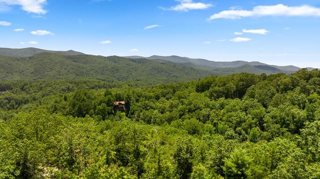 120 Community Hill Drive, Blue Ridge, GA 30513