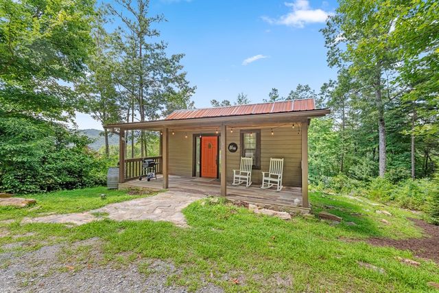 120 Community Hill Drive, Blue Ridge, GA 30513
