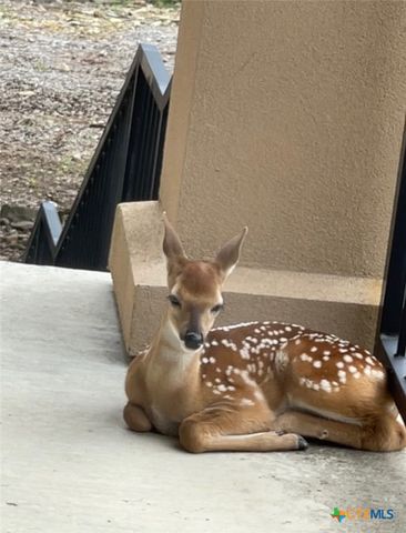 2171 Sierra Madre, Canyon Lake, TX 78133