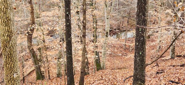 LOT 6 Brooks Mill RD, Glade Hill, VA 24092