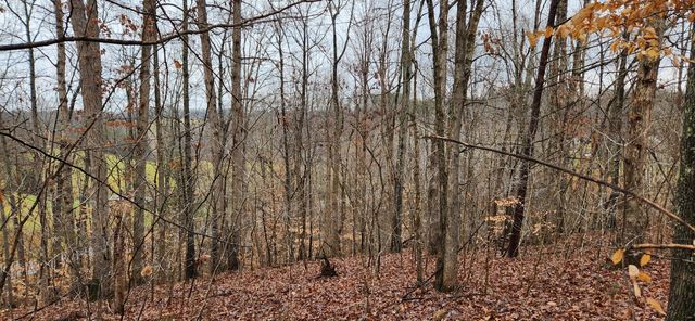 LOT 6 Brooks Mill RD, Glade Hill, VA 24092
