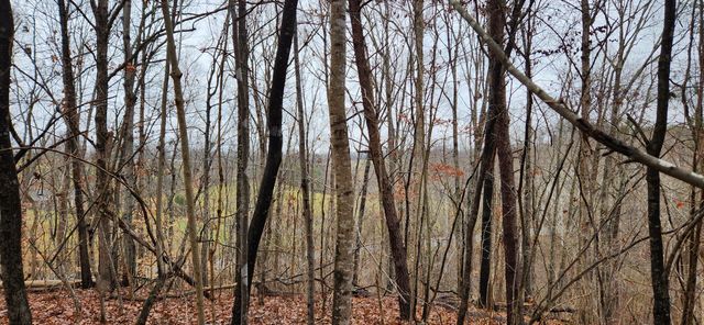LOT 6 Brooks Mill RD, Glade Hill, VA 24092