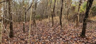LOT 6 Brooks Mill RD, Glade Hill, VA 24092
