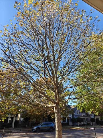 1358 E ISLAND PL, Memphis, TN 38103