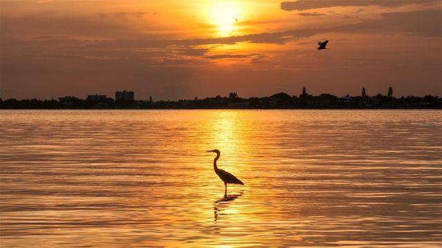 656 S OWL DRIVE, Sarasota, FL 34236