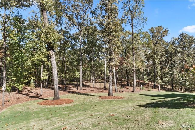 3168 Nicol Point Way NE, Tuscaloosa, AL 35406