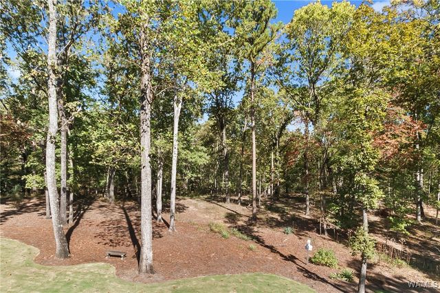 3168 Nicol Point Way NE, Tuscaloosa, AL 35406