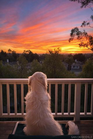 12357 Caminito Peral, San Diego, CA 92131