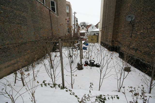 2658 W 23rd Street, Chicago, IL 60608