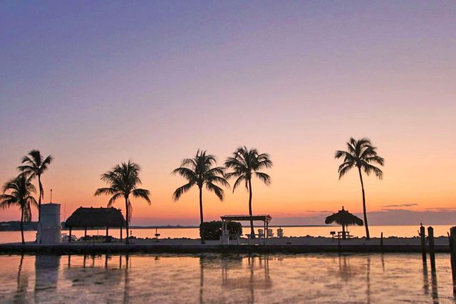 88540 Overseas Hwy Apt 101, Plantation Key, FL 33070