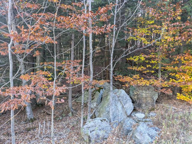 443 Lake Desolation Road, Greenfield, NY 12850