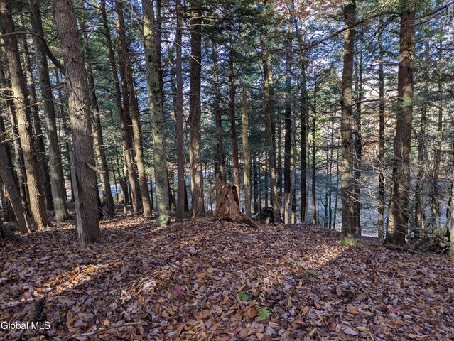 443 Lake Desolation Road, Greenfield, NY 12850