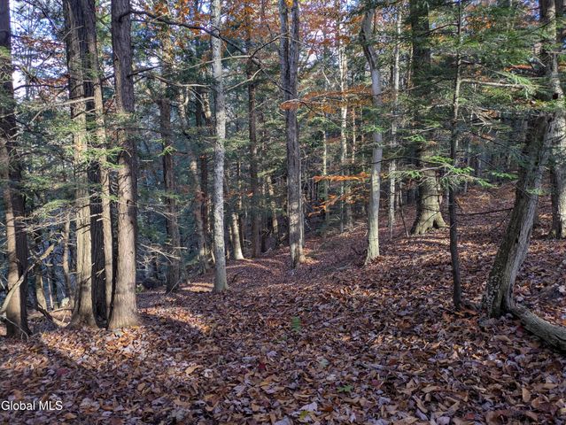 443 Lake Desolation Road, Greenfield, NY 12850