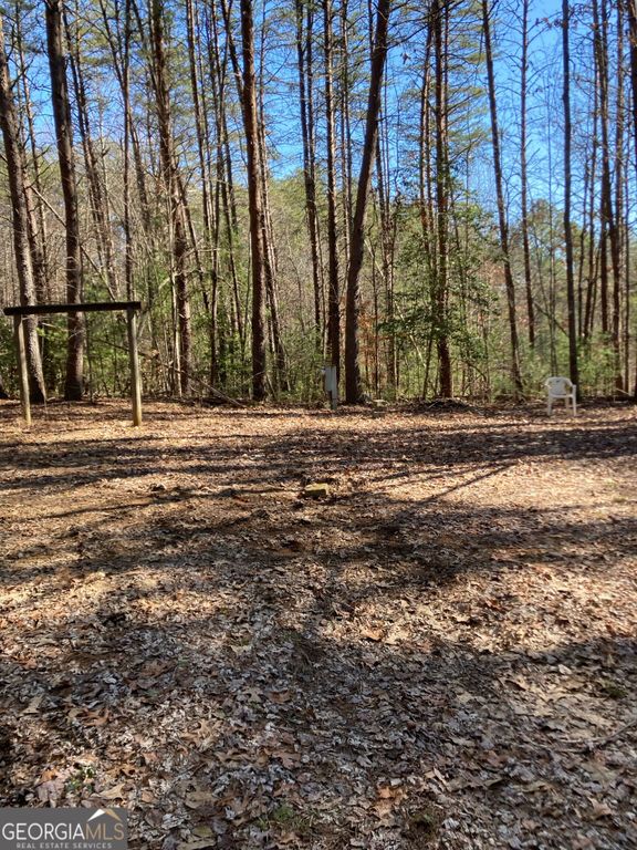 LT 1 Barker Lane, Blue Ridge, GA 30513 — photo 2