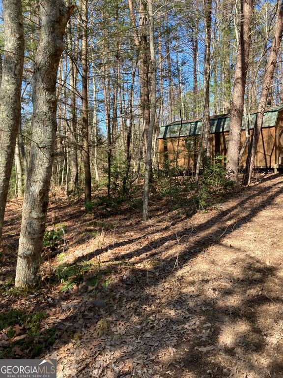 LT 1 Barker Lane, Blue Ridge, GA 30513 — photo 3