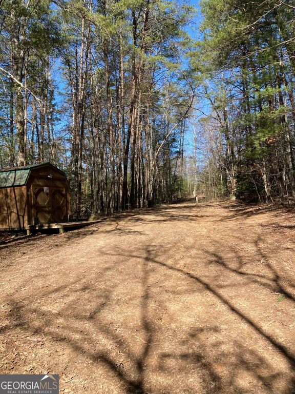 LT 1 Barker Lane, Blue Ridge, GA 30513 — photo 4