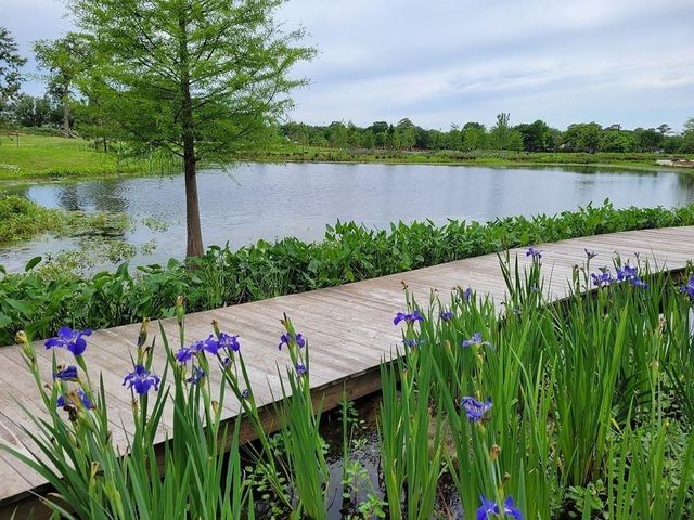 7543 Greenstone Street, Houston, TX 77087