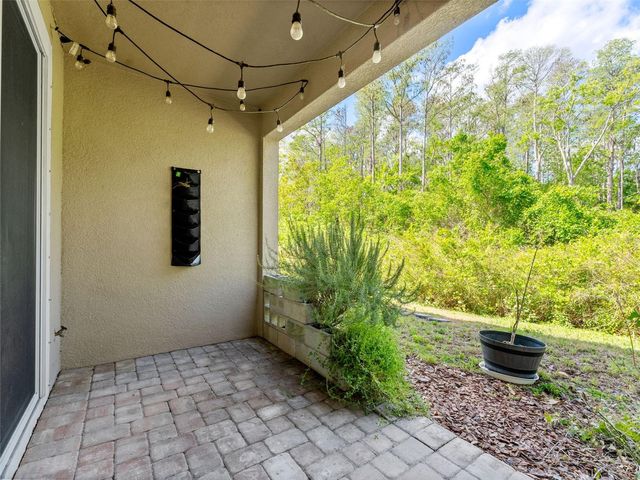 5845 GRAND SONATA, Tampa, FL 33558