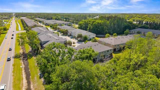 5845 GRAND SONATA, Tampa, FL 33558