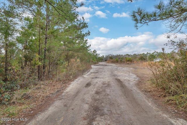 1705 Colon Mintz Road NE, Leland, NC 28451