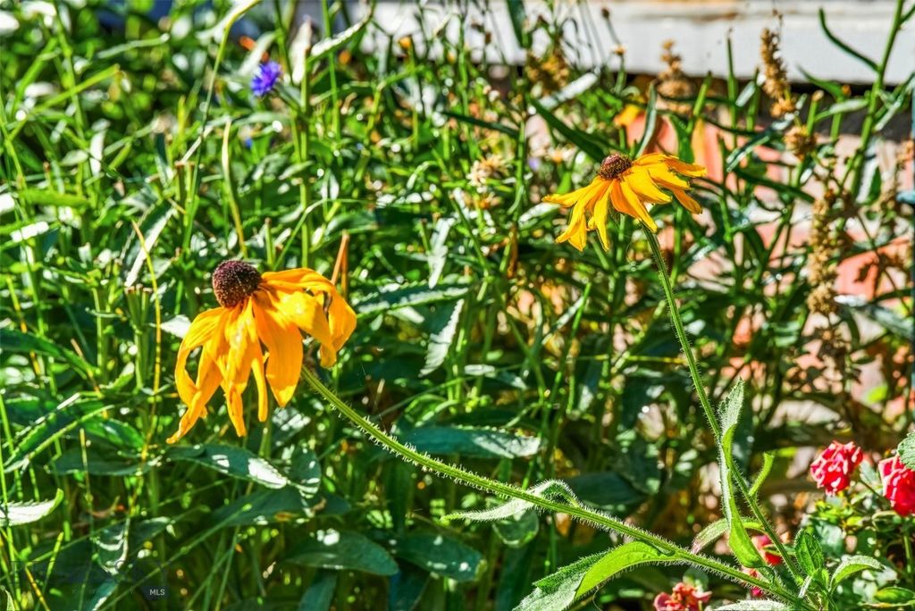 2500 Cottontail Road, Gallatin Gateway, MT 59730 photo 90