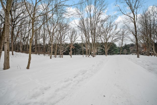 70037 Winding Pines Parkway, Milton Twp, MI 49120