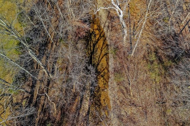 3001 Tulip Ln, Cookeville, TN 38501