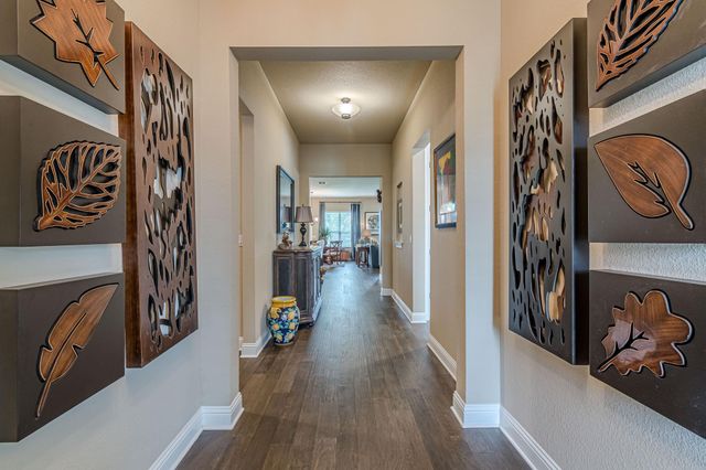 115 Laughing Pear CV, San Marcos, TX 78666