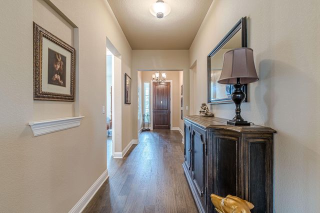 115 Laughing Pear CV, San Marcos, TX 78666