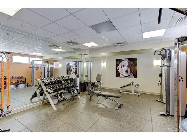 410 Acoma St 203, Denver, CO 80204