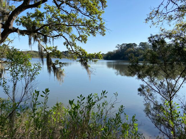 6079 Josie Ridge Road, Wadmalaw Island, SC 29487