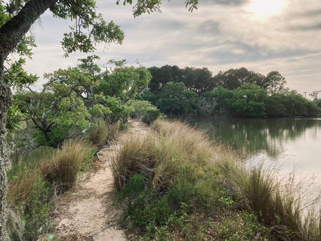 6079 Josie Ridge Road, Wadmalaw Island, SC 29487